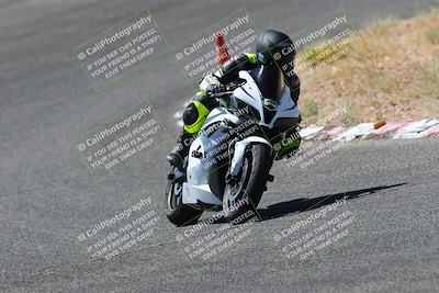 media/Jul-08-2023-2WTD (Sat) [[c8c0d2e149]]/C Group/1040am (Turn 3)/